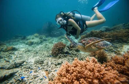 Scuba diver swimming near colorful coral reef