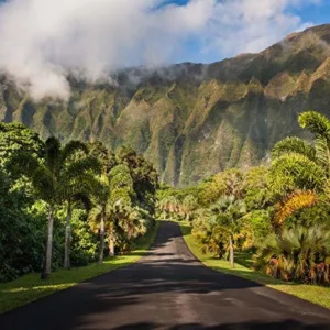 Polaris Slingshot driving along Waikiki coastline