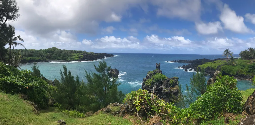 Birdwatchers observing native birds along Road to Hana