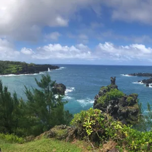 Birdwatchers observing native birds along Road to Hana