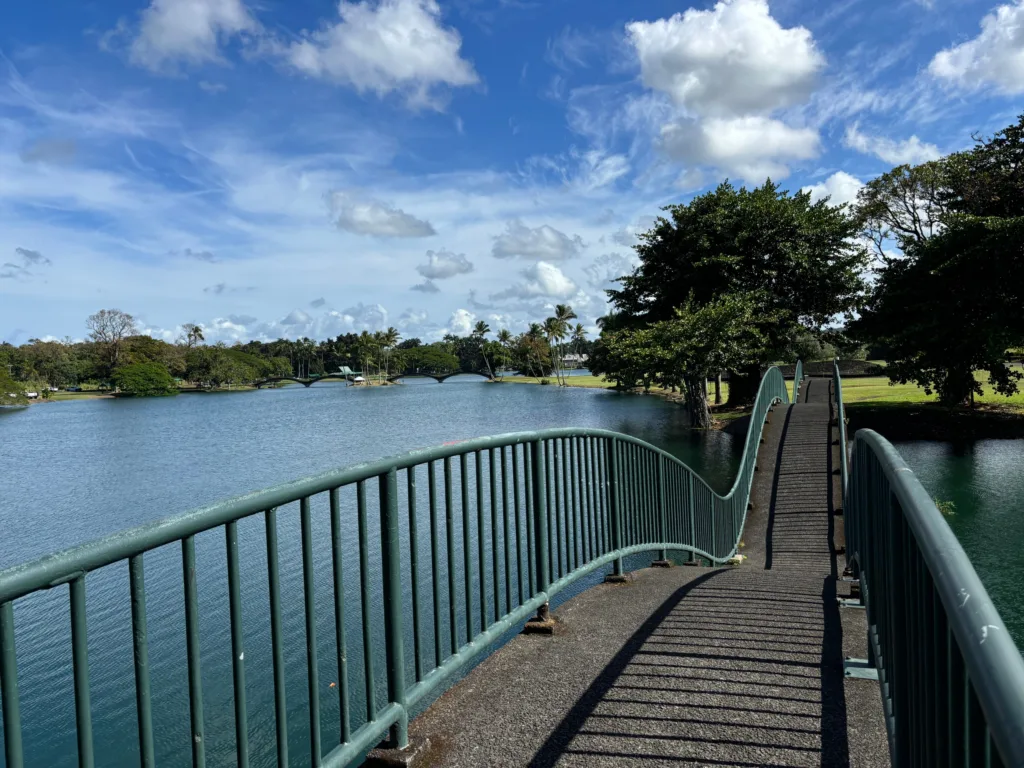 Person standing on a paddleboard on calm river water