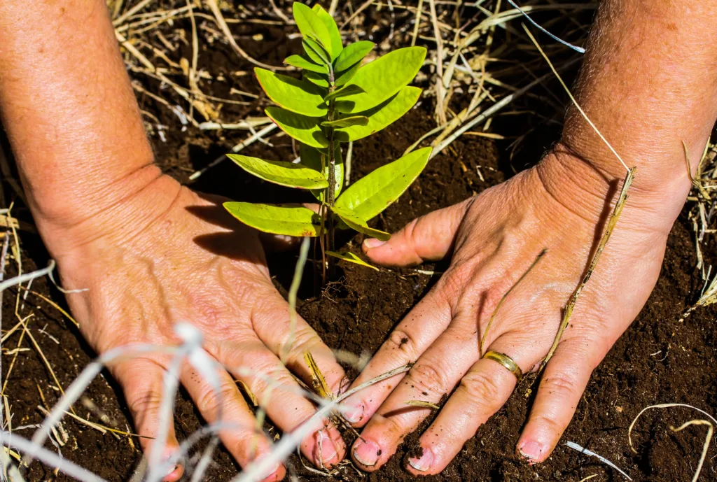 Sunset and stargazing trip on Maunakea summit