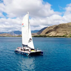 Large catamaran sailing near Oahu coastline