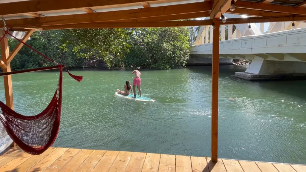 Paddleboards lined up along a calm riverbank