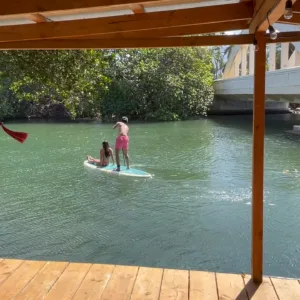 Paddleboards lined up along a calm riverbank