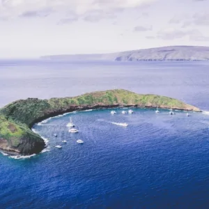 Scuba diver exploring Molokini Crater underwater