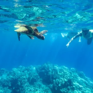 Small boat cruising near vibrant coral reefs for snorkeling