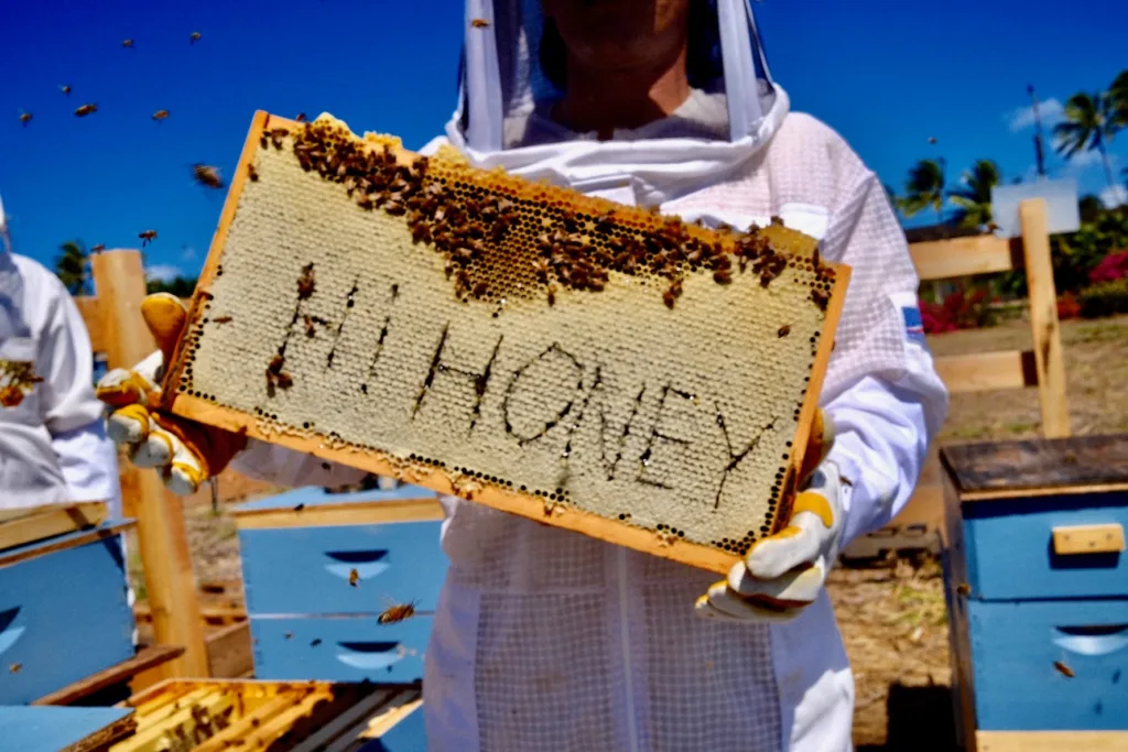 Visitors tasting honey at North Shore apiary