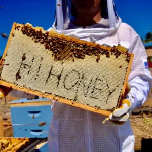 Visitors tasting honey at North Shore apiary