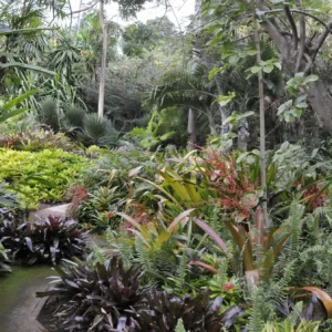 Self-guided audio tour through botanical gardens
