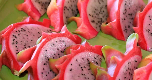 Guests tasting fresh tropical fruits on a farm tour