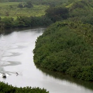 Person waterskiing behind a boat on Wailua River