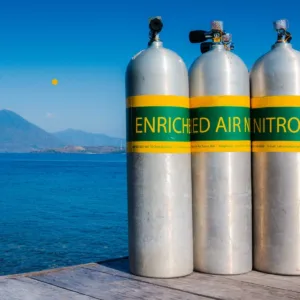 Student studying Nitrox enriched air diving course materials