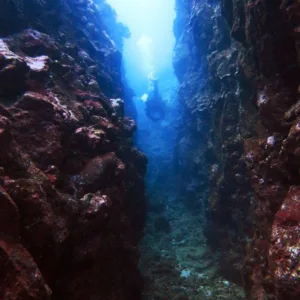Two-tank boat dive exploring Hilo’s remote reef sites