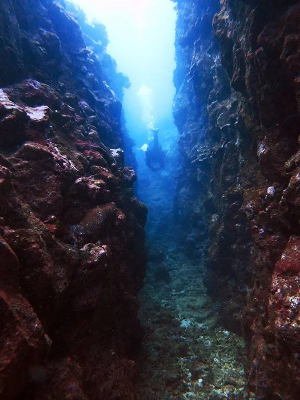 Two-tank boat dive exploring Hilo’s remote reef sites