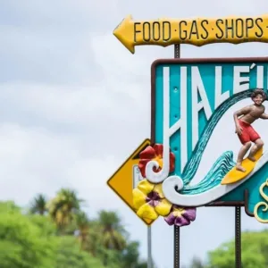 Cozy vehicle with small group on island tour
