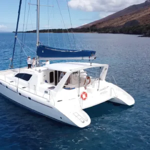 Elegant catamaran sailing on calm blue waters