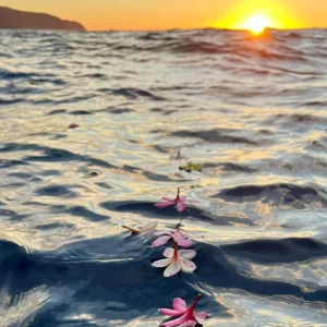 Boat prepared for scattering ashes ceremony at sea