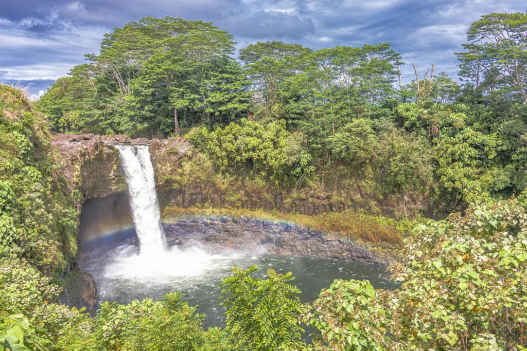 Lush tropical botanical garden with colorful flowers