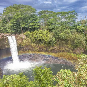 Lush tropical botanical garden with colorful flowers