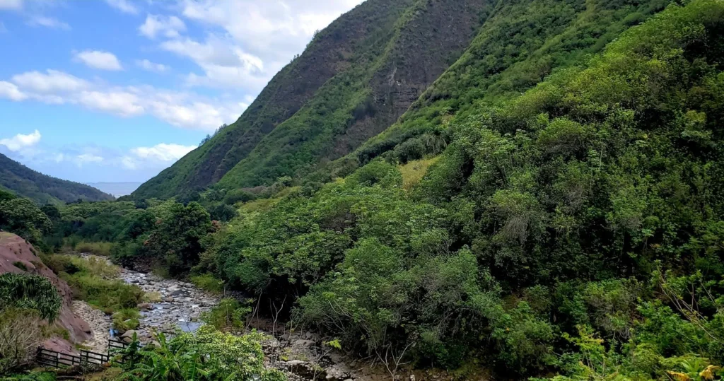 Scenic view of Maui island with diverse seasonal colors