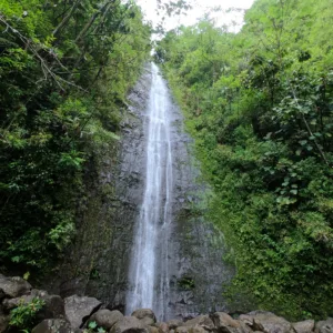 Early morning hike to Manoa Falls waterfall