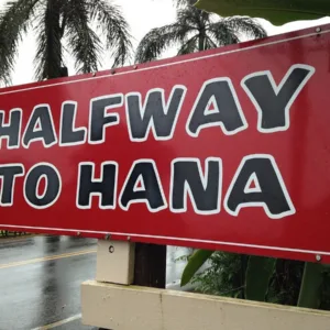 Luxury private tour vehicle on Maui road