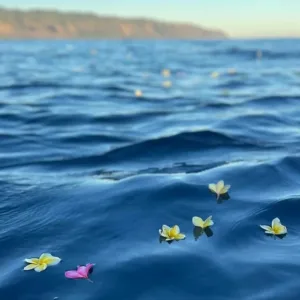 Captain holding sacred ashes scattering ceremony at sea