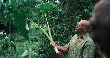Visitors exploring a regenerative farm field