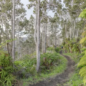 Guided private hike through Hawaii Volcanoes National Park