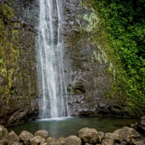Cyclists riding bikes through lush Manoa Valley forest
