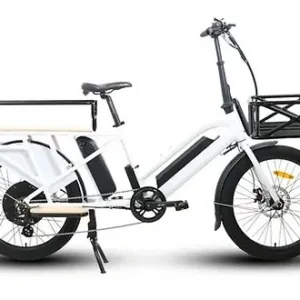 Electric cargo bike with space for two children