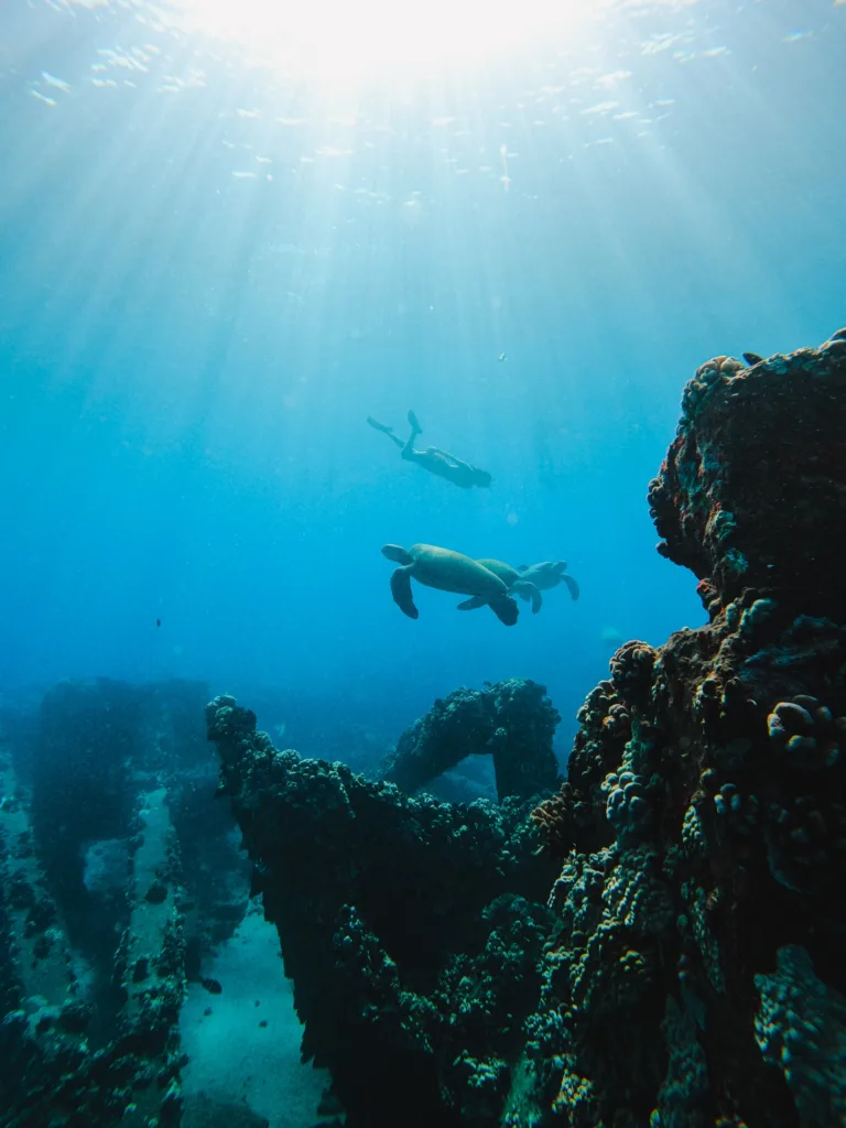 Sailboat gliding past rugged Maui coastline cliffs