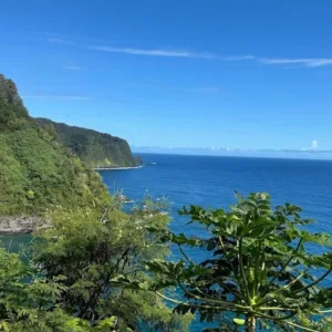 Hiker descending waterfall using ropes in tropical forest