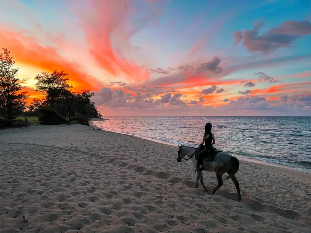 Group horseback riding along oceanfront trail at sunset