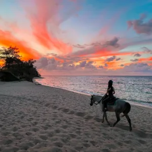 Group horseback riding along oceanfront trail at sunset