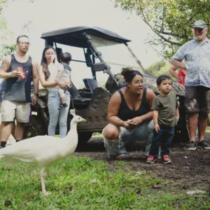 Visitors feeding friendly ranch animals outdoors
