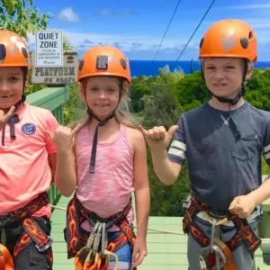 Zipline platforms connected by cables over lush jungle