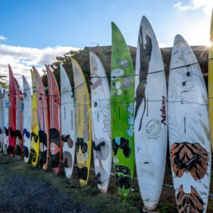 Photography tour capturing Maui’s North Shore surf