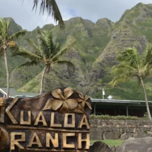 Driver waiting at Kualoa Ranch for shuttle departure