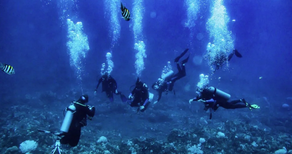 Recreational Avelo Diver specialty certification course
