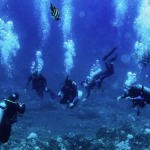 Recreational Avelo Diver specialty certification course