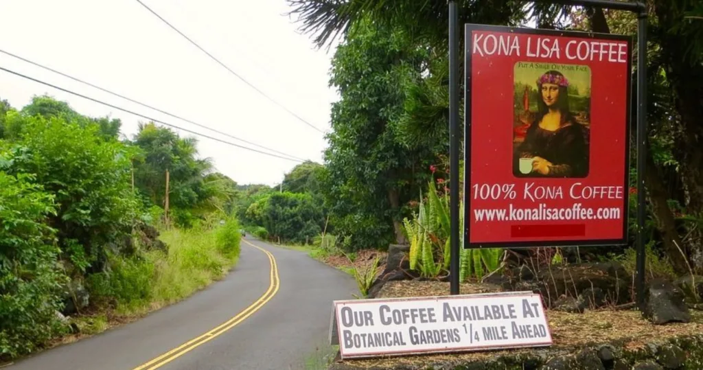 Tour with Kona coffee expert and master roaster