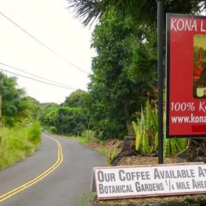 Tour with Kona coffee expert and master roaster