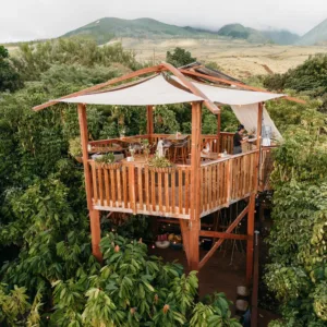Visitors touring Maui’s Ku’ia Estate chocolate farm