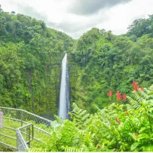 Calm pond in Liliuokalani Gardens