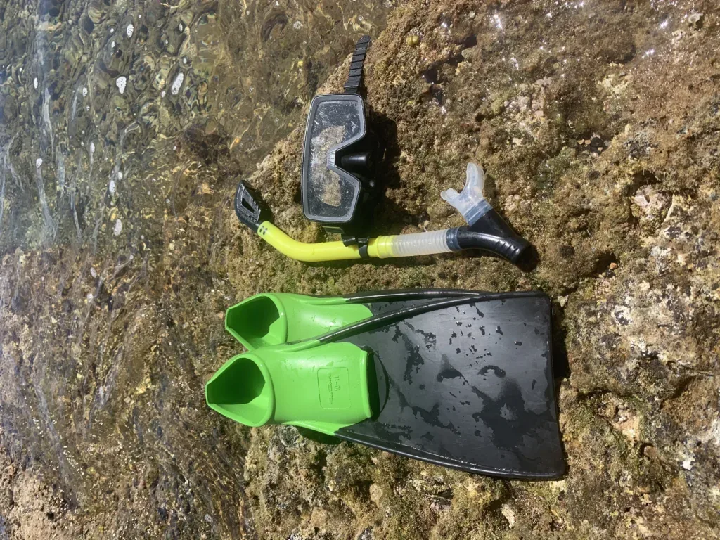 Snorkeling gear including mask, snorkel, and fins