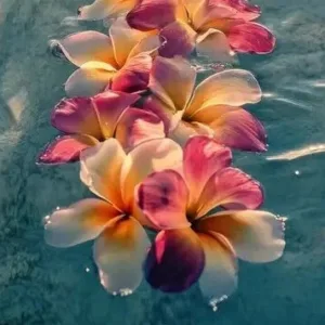 Private ash-scattering ceremony in peaceful Waikiki waters