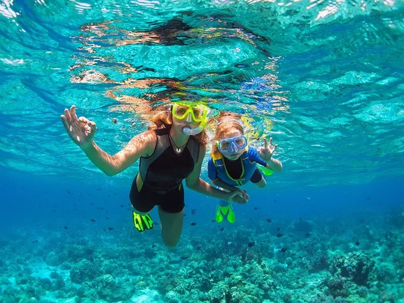 Small group snorkeling along Lanai coastline