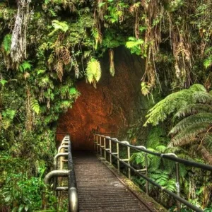 SUV parked near volcanic landscape in Hawai‘i Volcanoes Park
